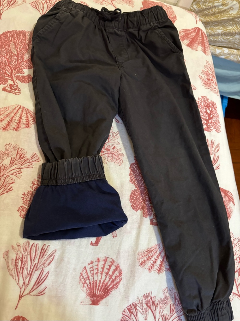 Carter's Black Jogger Pants with Navy Lining